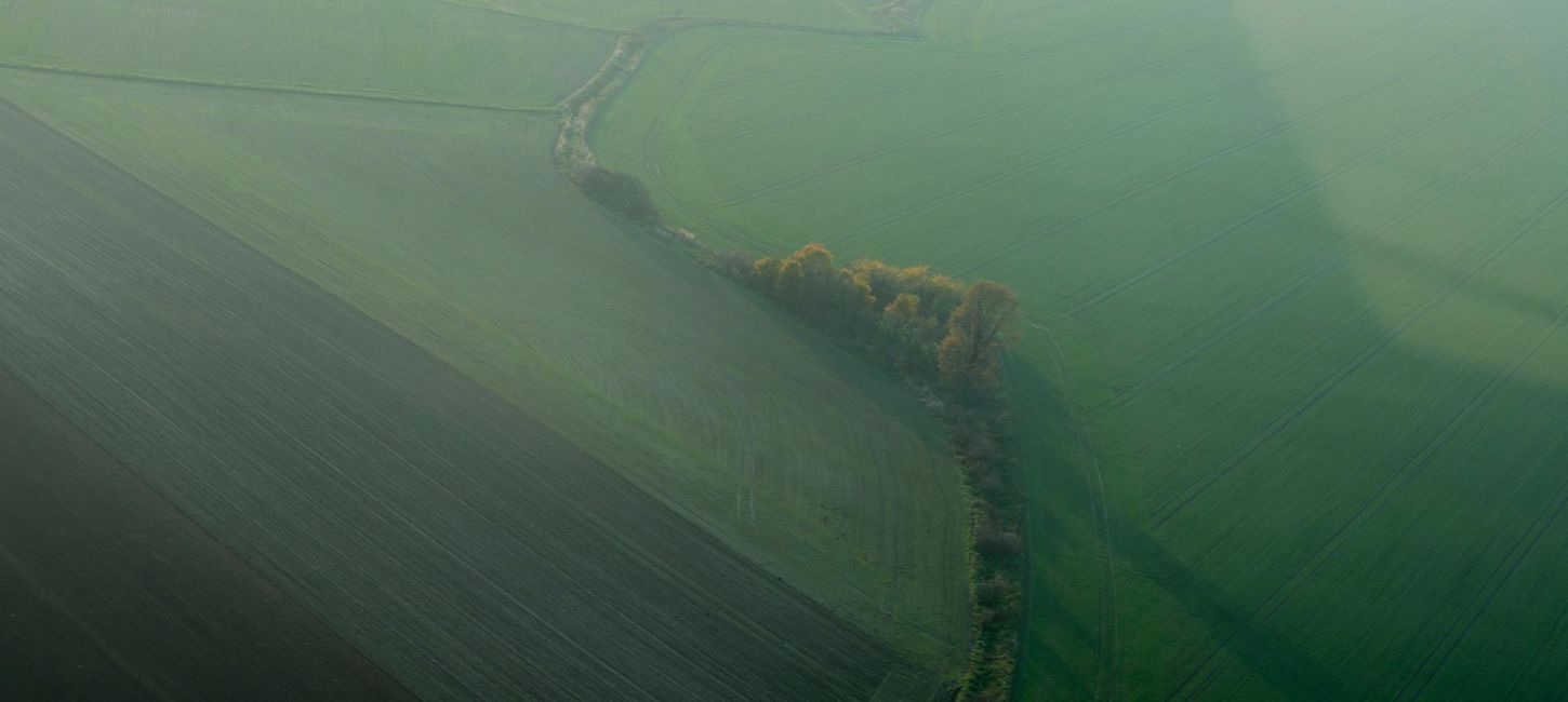 Grønne marker med snoet vej