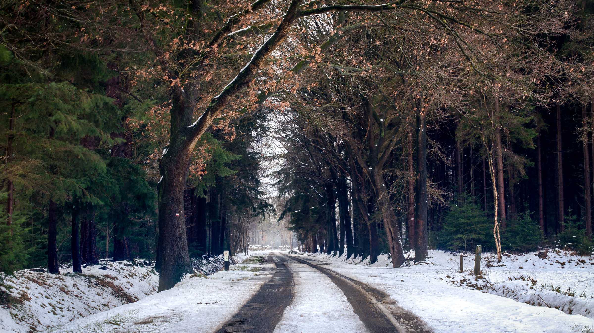 vinter vej med hjulspor vinterdæk lovgivning